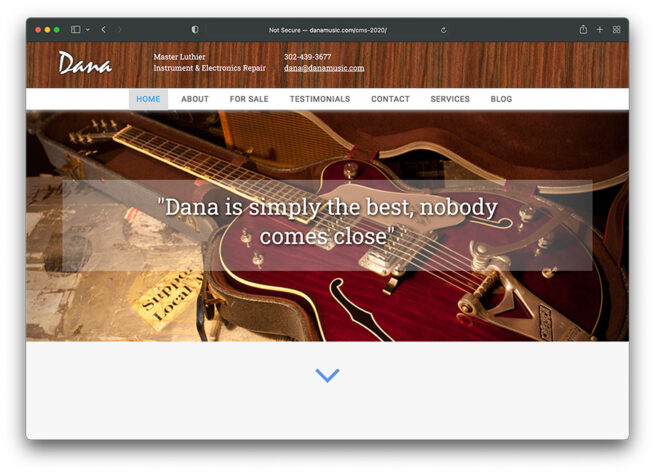 Dana home page featuring vintage Gretsch guitar
